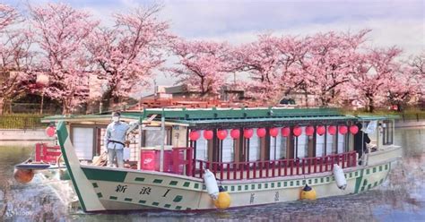 Tokyo Cherry Blossom Season Limited Japanese-style Yakatabune Cruise ...