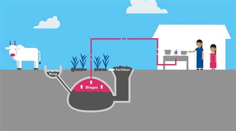 Bioenergy Process 的图像结果