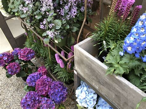 Roger's Gardens in Corona del Mar Is One of My Favorite Places