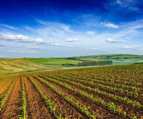 Background for Agriculture 的图像结果