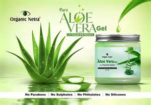 Organic Netra Pure Aloe Vera Gel for Face With Vitamin C & E - 200 gm ...