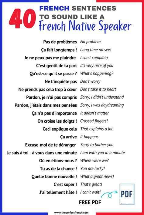 Master French with 40 Native Speaker Sentences