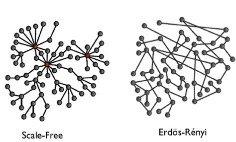 Image result for Complex Networks Shows