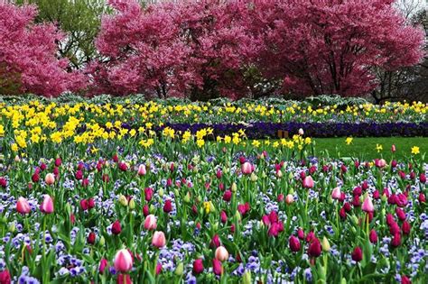 Image result for Spring Boot Default JSON Exception
