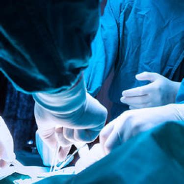 Shoulder Knee Specialist