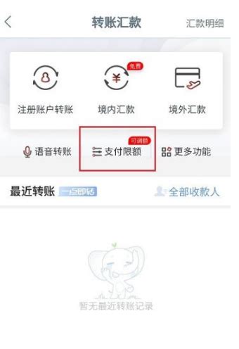 工商银行app转账限额怎么提-工商银行app支付限额调高方法分享 - Iefans