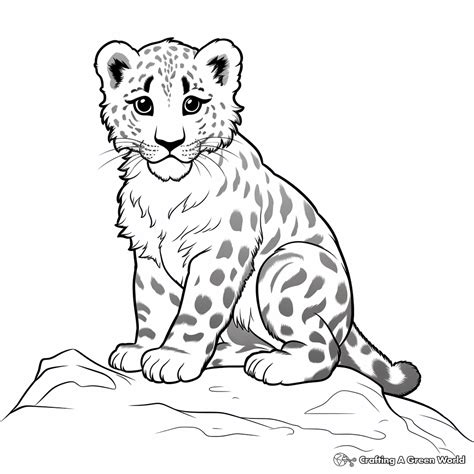 Snow Leopard Coloring Pages Free Printable Leopard Coloring Pages,