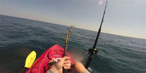 Kayaker holds on for dear life after catching hammerhead shark - The ...