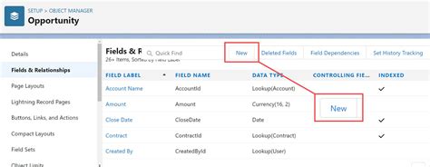 Image result for Salesforce Check Box in Report