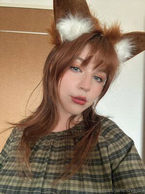 Image result for Fox in Python Code