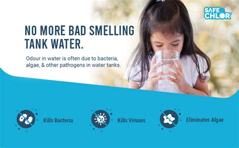 Safe Chlor 1000 L | Chlorine Tablets for Water Tanks of 1000 Ltrs ...