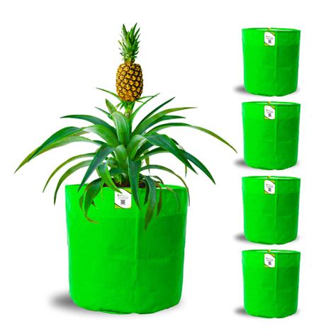 OrganicBazar 15x18 Big Grow Bag for Terrace Garden, Premium HDPE 260 G