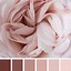 Image result for Blush Pink Color Pairs