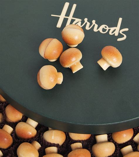 Harrods Belgian Supreme Chocolate Selection (1kg) | Harrods IN