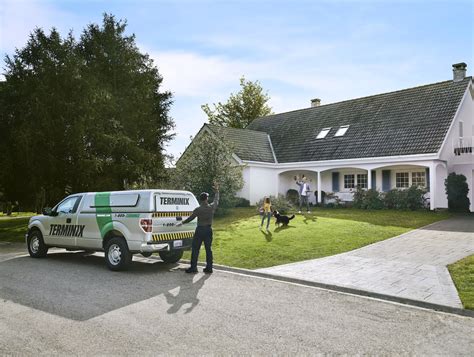 Image result for Terminix.com