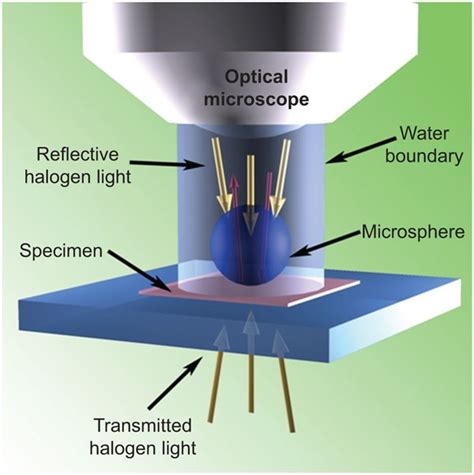Optical Microscope Basics 的图像结果