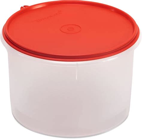 Buy Tupperware Large Plastic Store All Cansiter, 18 Litres, Color May ...