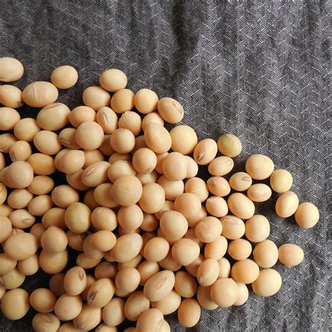 soybeans | Health Topics | NutritionFacts.org