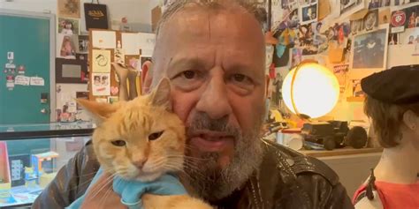 Image result for Keyboard Cat Meme