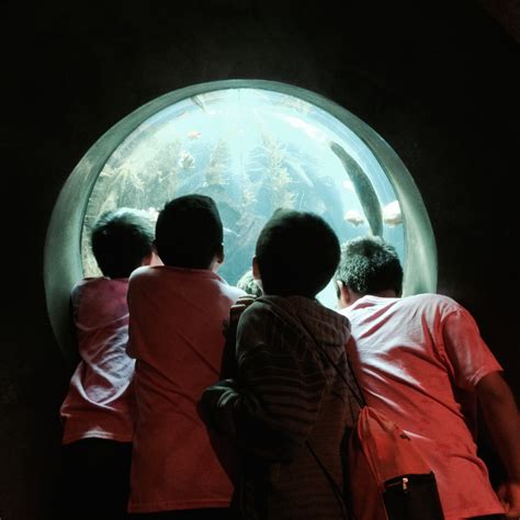 30 of ’15 | DAVID B. COHEN