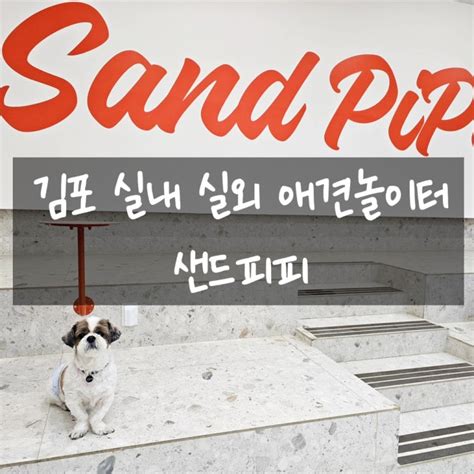 Image result for Regex Flow Execute Python