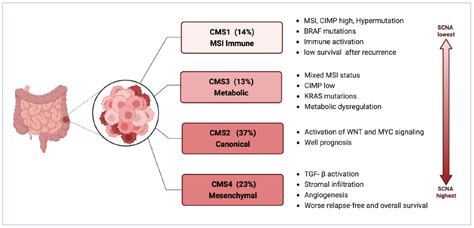 Peritoneal Metastasis: A Dilemma and Challenge in the Treatment of Metastatic Colorectal Cancer