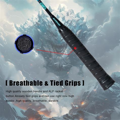 ALPSPORT XW The Tortoise 6U G5 Graphite Professional India | Ubuy