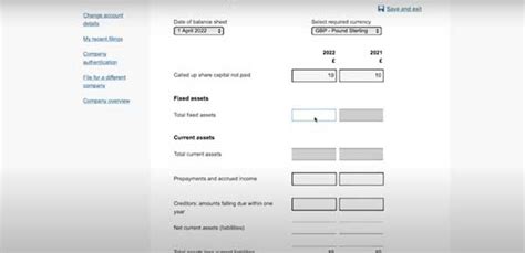 Micro Entity Balance Sheet Guide 的图像结果