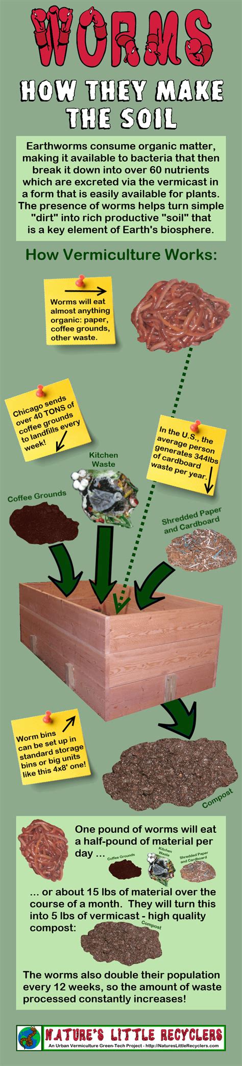Worm Farm Business 的图像结果