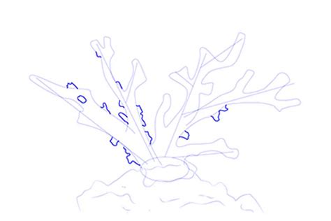Image result for Coral Reef Drawing Simple