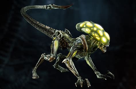 Alien Xenomorph Types 的图像结果