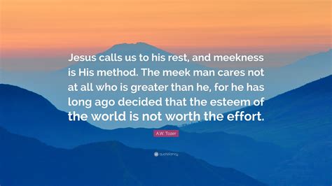 Image result for Meekness Examples