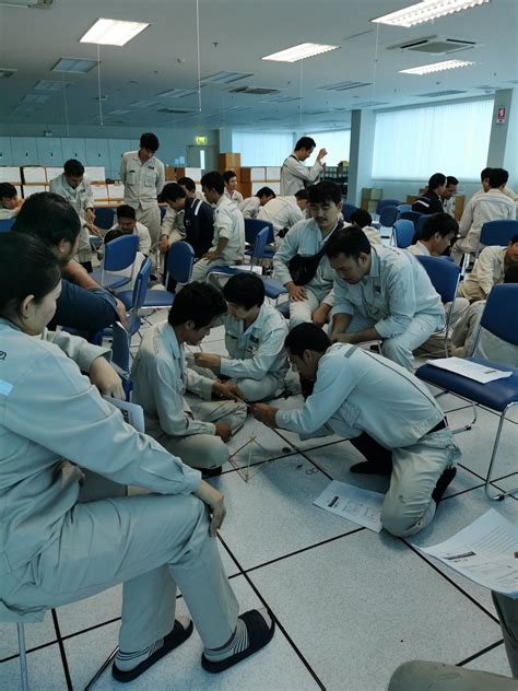 Matrix Training Program 的图像结果