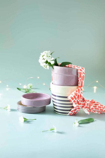 Ceramic Plant Pots - Buy Indoor Planters Online in India – Freedom Tree