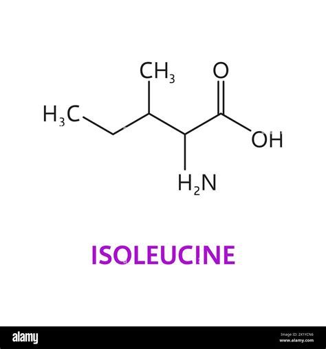 Isoleucine amino acid chemical molecules, essential chain structure. Isolated vector Isoleucine ...