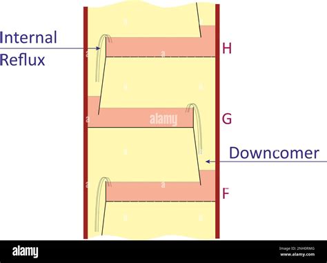 Distillation Column 的图像结果