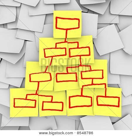 Organization Pyramid Structure 的图像结果