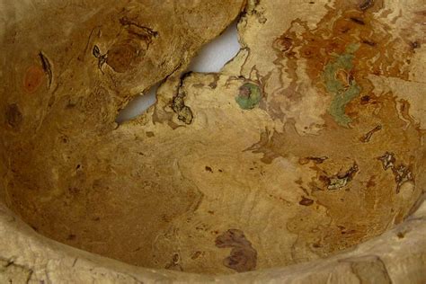 ¿Como se llama cuando la madera tiene estos dibujos por hongos ...