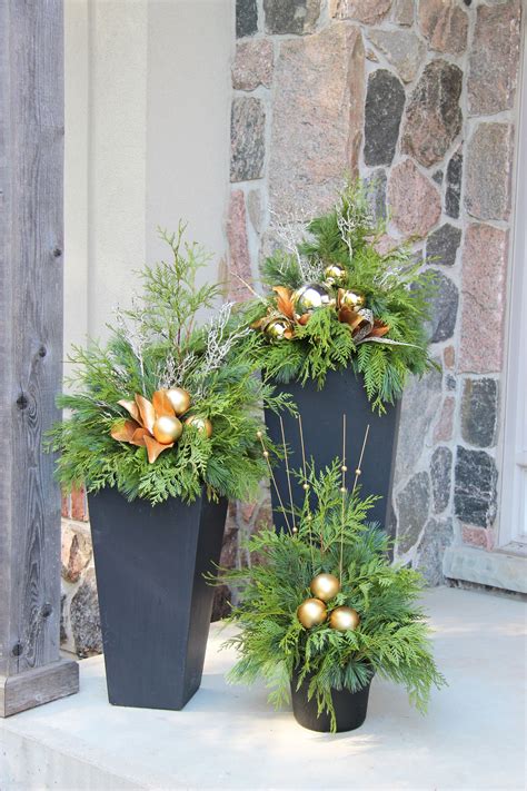 Holiday Outdoor Potted Plants at Michiko Durbin blog