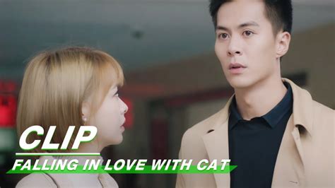 Clip: He Protects Her When She Is In Trouble | Falling In Love With Cat ...