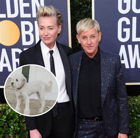 Ellen DeGeneres Reveals Her & Portia de Rossi's Dog Wolf Has Died - See ...