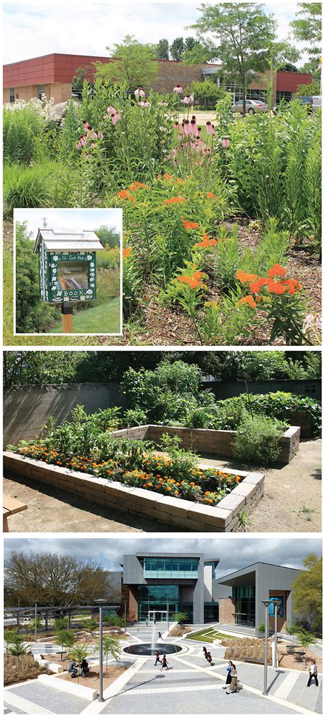 Library Outside 的图像结果