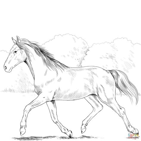 Horse Coloring Pages Realistic