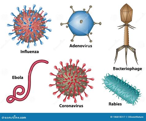 Image result for Virus Types