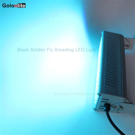 LED Fly 的图像结果