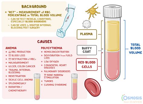 Hemoglobin High Meaning