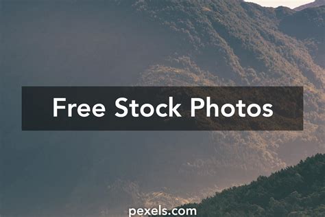 Free Stock Downloads 的图像结果