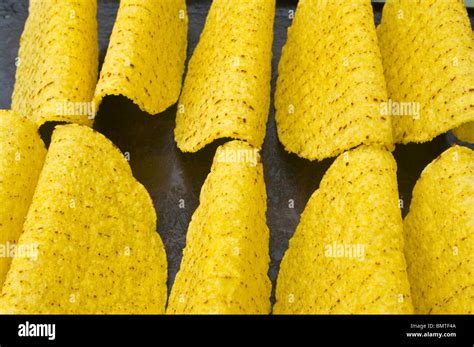 Image result for Baking Taco Shells