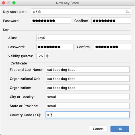 Android Keystore File Lost 的图像结果