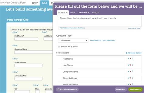 Survey Form Example 的图像结果